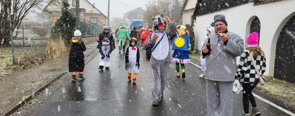 Foto Milevské maškary Milevské maškary navšítivili Stádlec